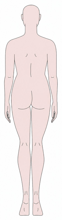 Body back